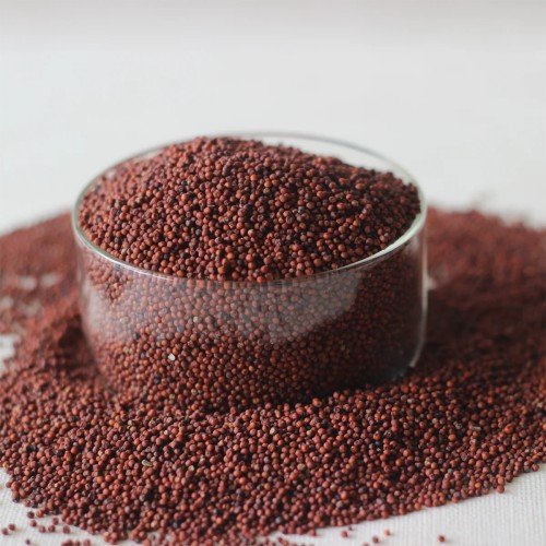 Finger Millet (Ragi)